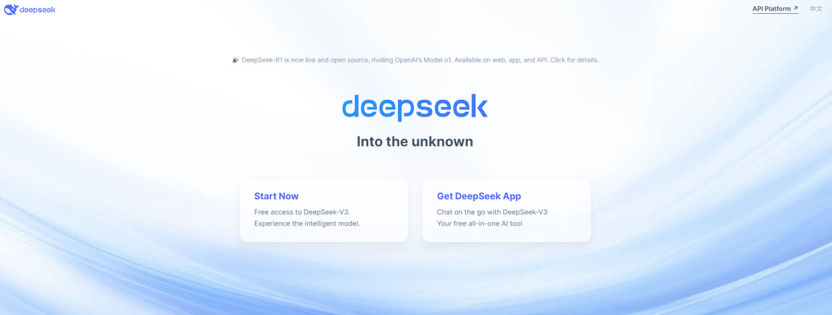 Deepseek entry screen
