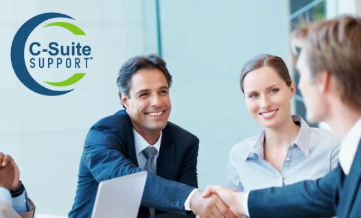 C-Suite Support Fractional Chief Financial Officer