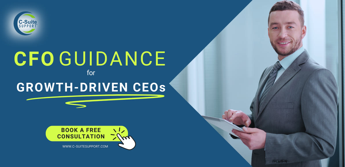 Fractional CFO Services, Strategic CFO